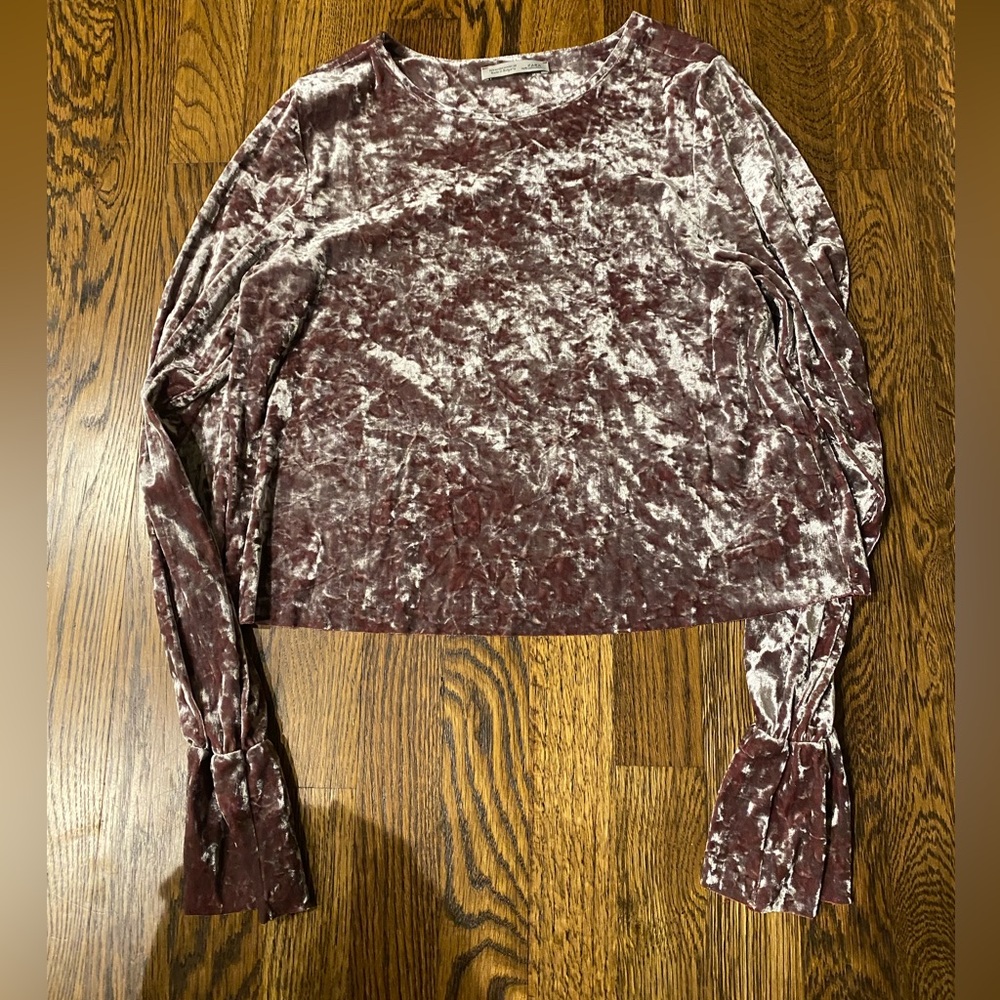 Zara Velvet Long Sleeve Top